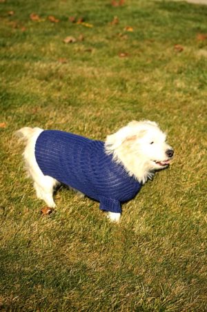 Pure Baby Alpaca Dog Sweater