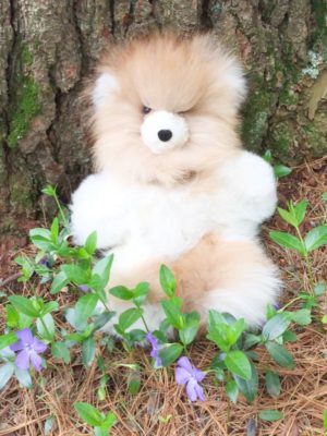 10 Inch Pure Alpaca Teddy Bear