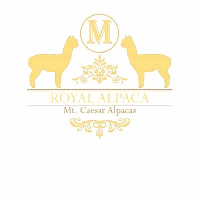 Mt. Caesar Alpacas Royal Alpaca Clothing And Accessories